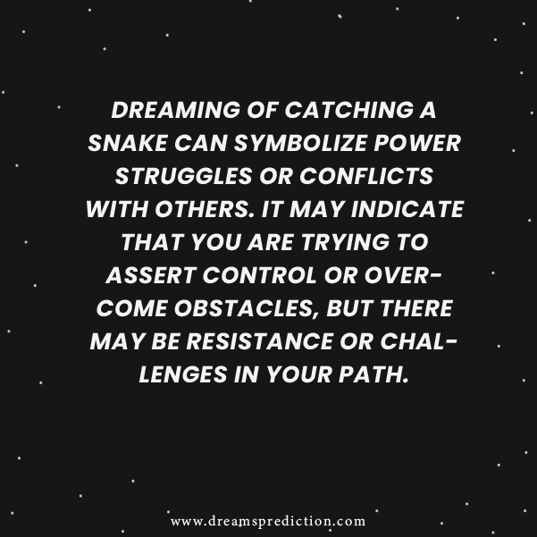 Negative Meanings Of Catching A Snake In Dream