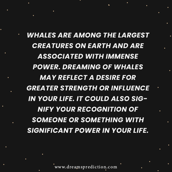 Negative Meanings Of Dreams About Whales