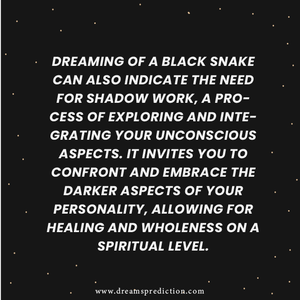 Negative Meanings of Dream About Black Snake