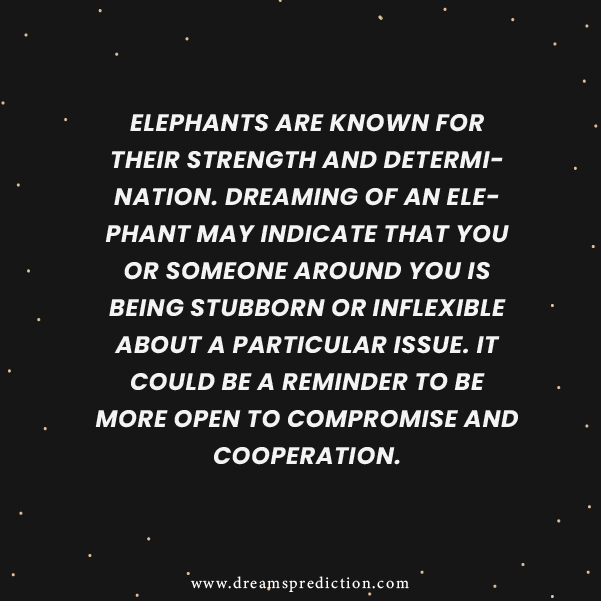 Negative Meanings of Elephant in Dream