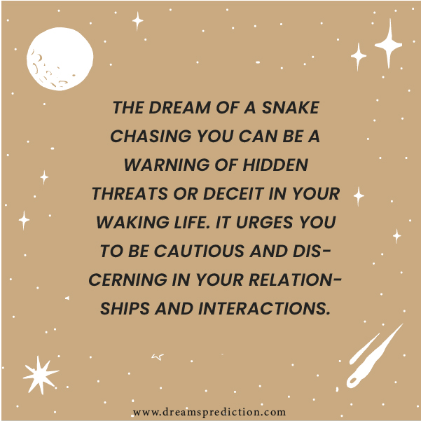 Positive Meanings About Dream Of Snake Chasing You