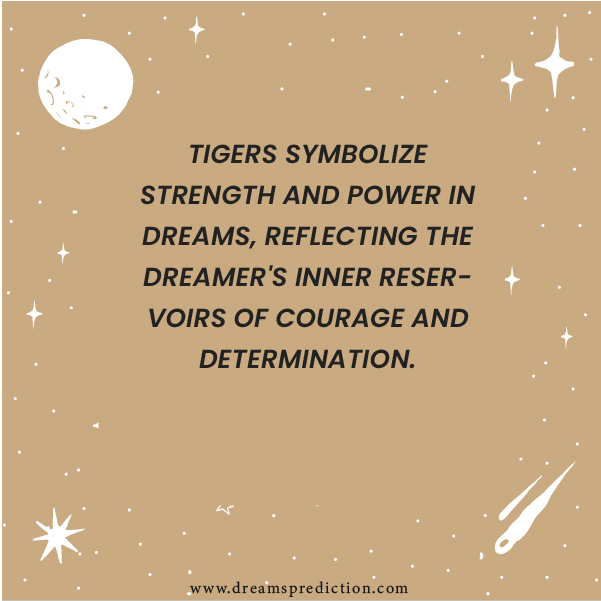 Positive Meanings About Tiger In Dreams