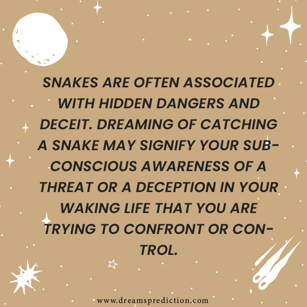 Positive Meanings Of Catching A Snake In Dream