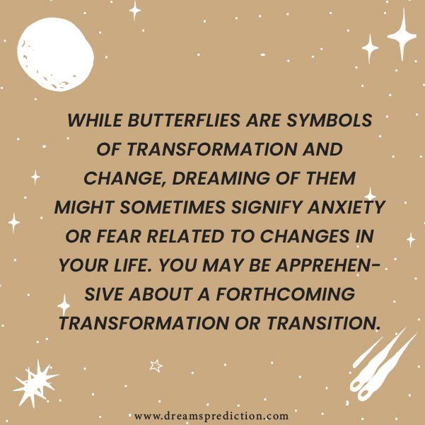 Positive Meanings Of Dream About Butterflies