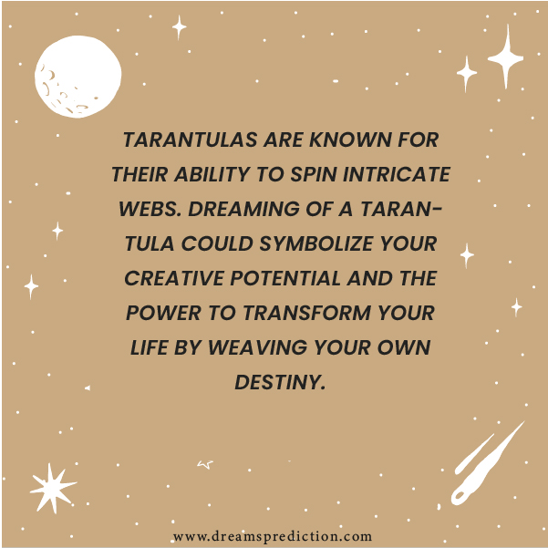 Positive Meanings Of Dreaming Of Tarantulas