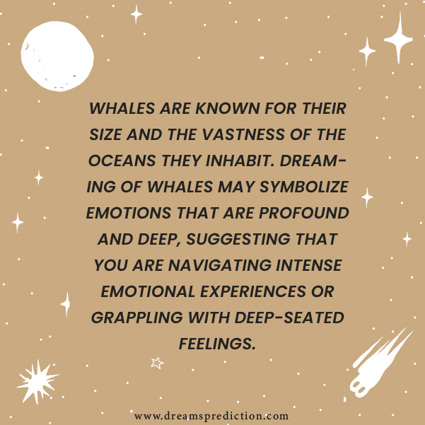 Positive Meanings Of Dreams About Whales