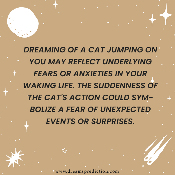 Positive Meanings about Dream Of Cat Jumping On Me