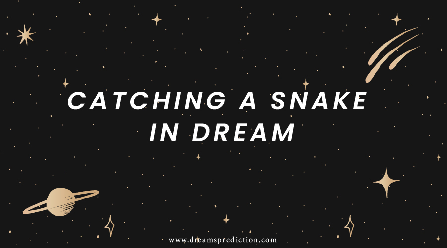 Catching A Snake In Dream