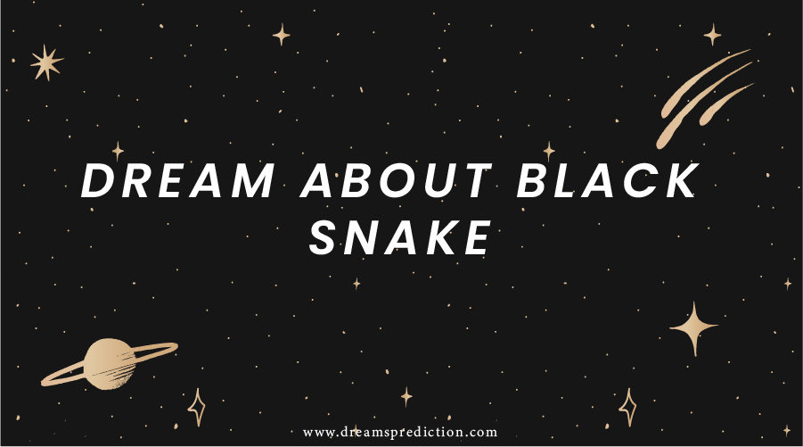 Dream About Black Snake