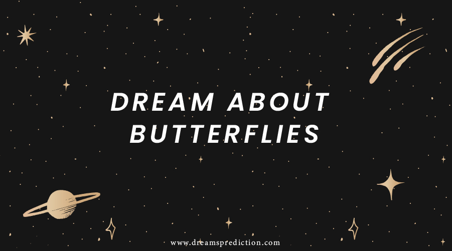 Dream About Butterflies