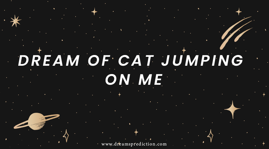 Dream Of Cat Jumping On Me