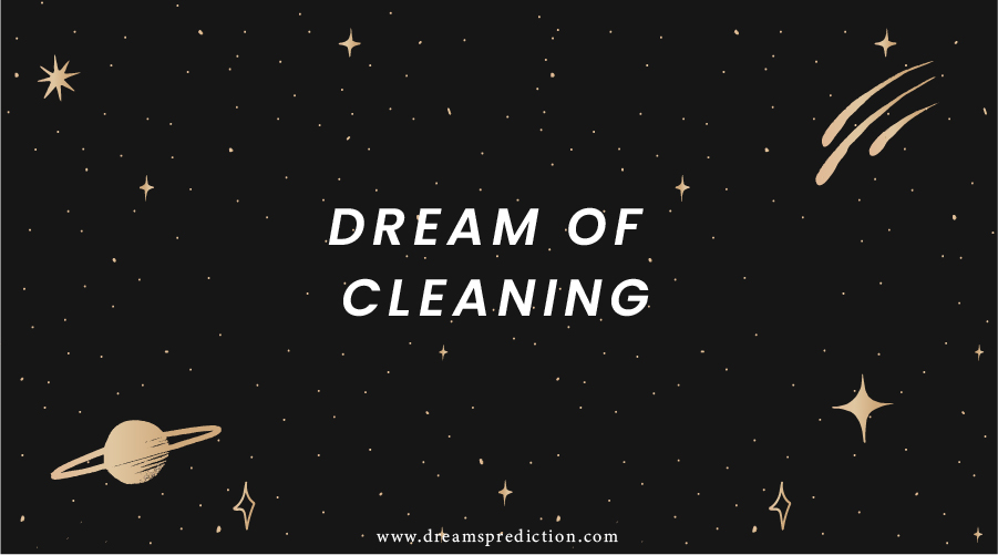 Dream Of Cleaning