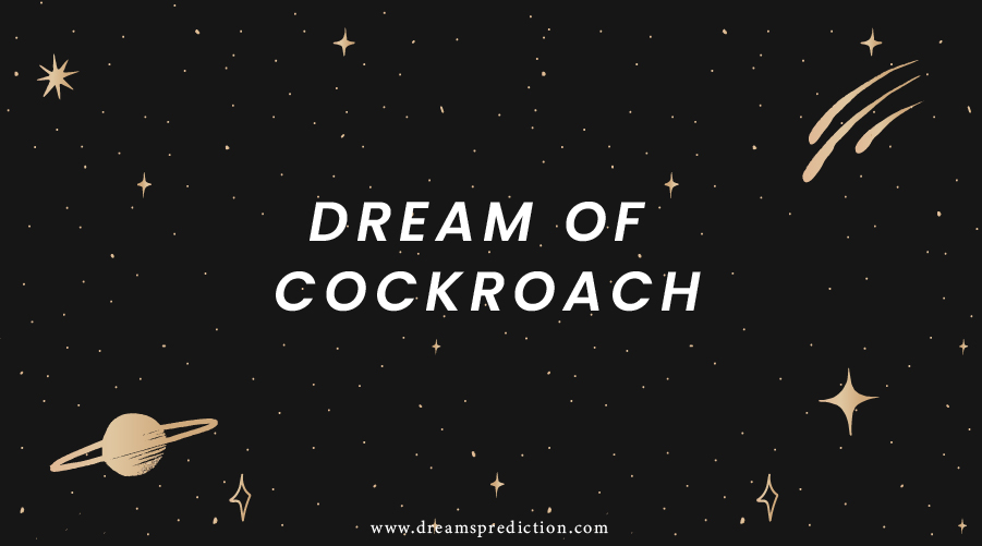 Dream Of Cockroach