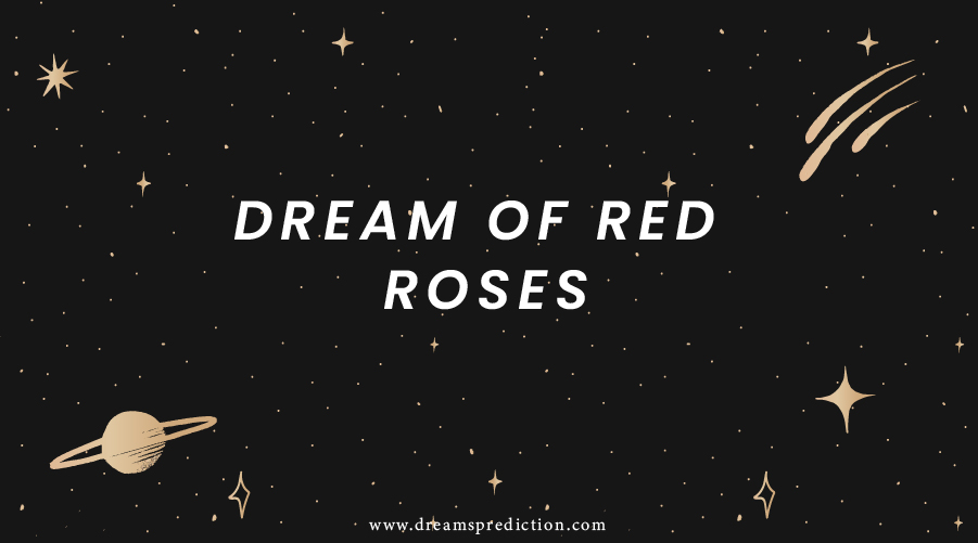 Dream Of Red Roses