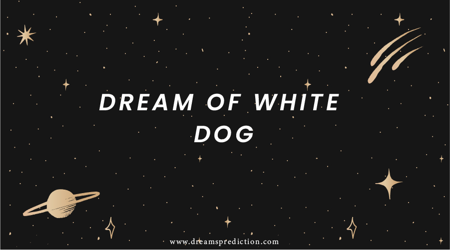 Dream Of White Dog