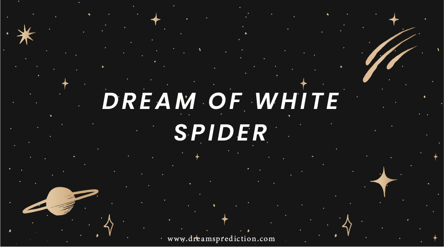 Dream Of White Spider