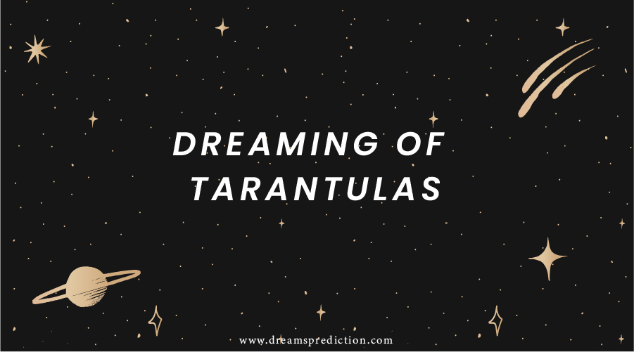 Dreaming Of Tarantulas