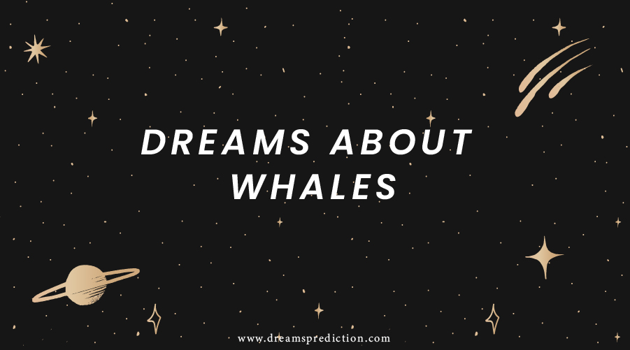 Dreams About Whales