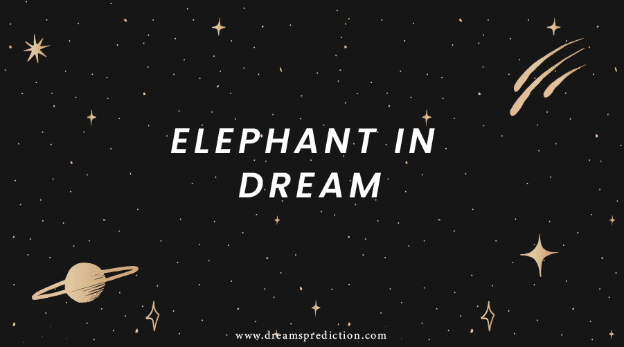 Elephant In Dream