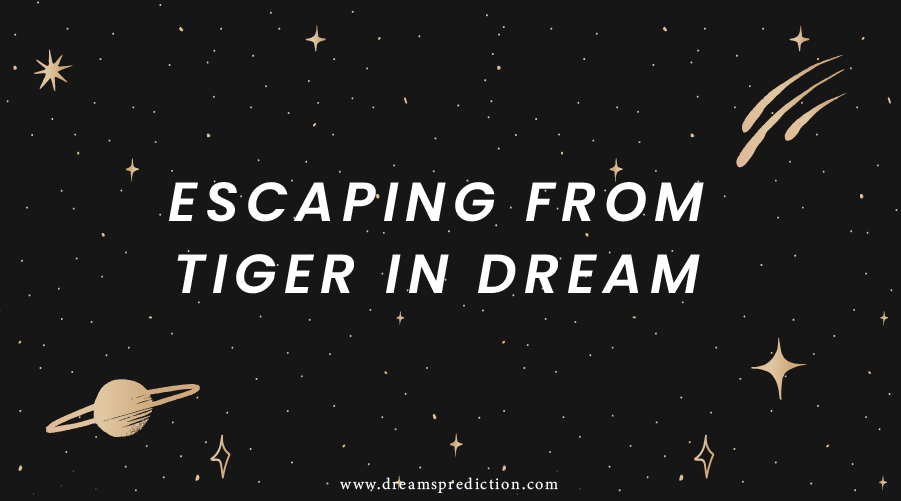 Escaping From Tiger In Dream