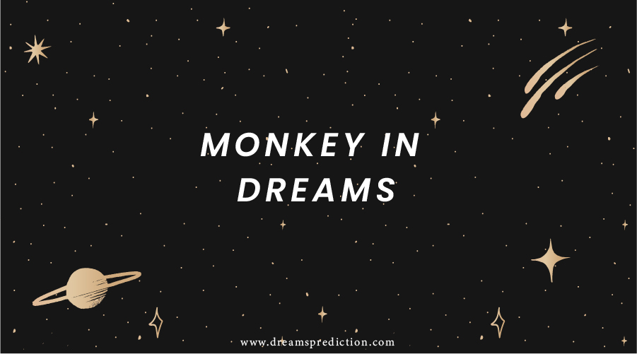 Monkey In Dreams