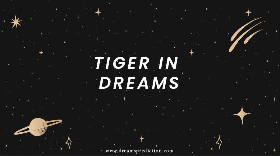 Tiger In Dreams